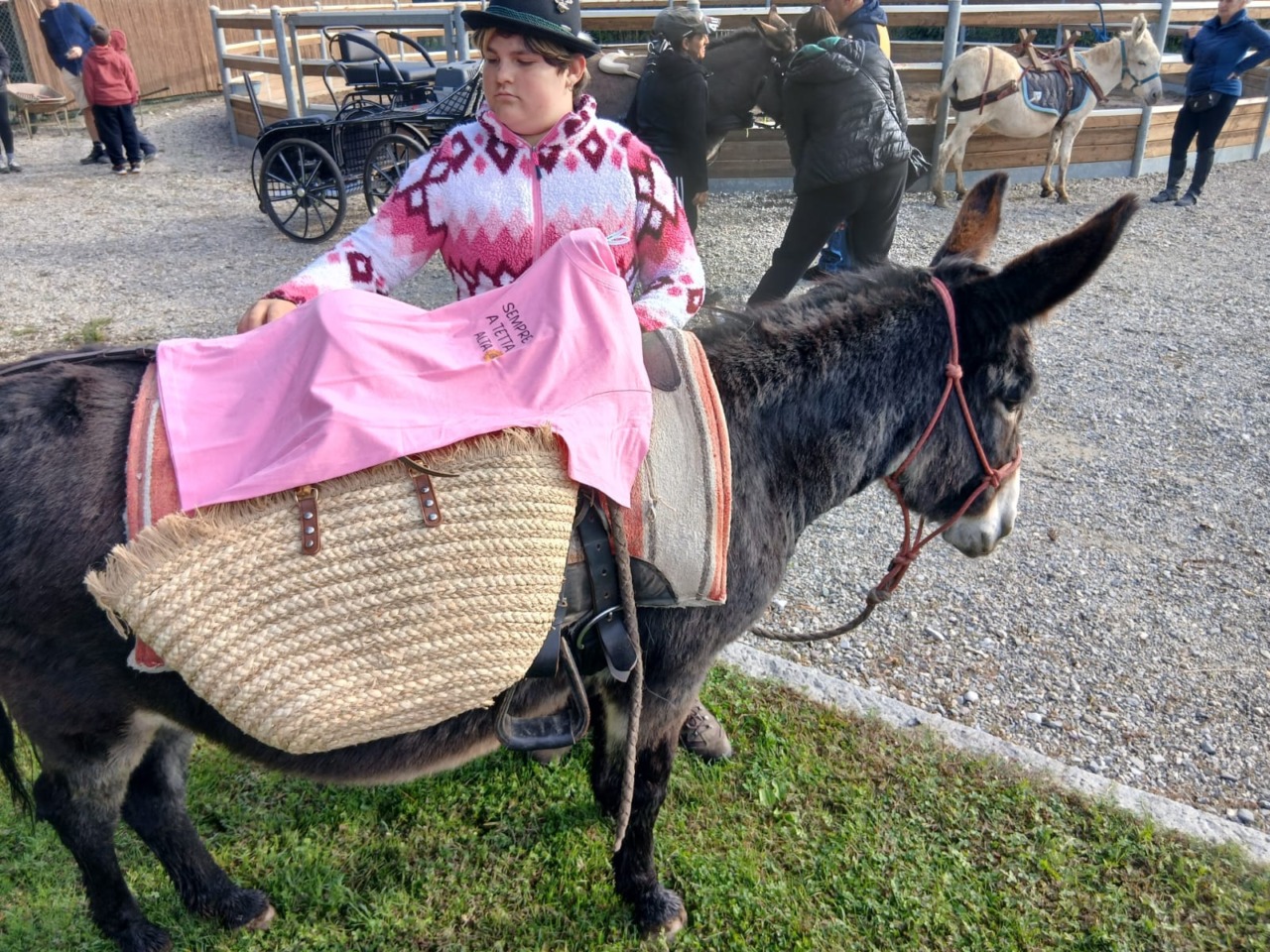 A tetta alta