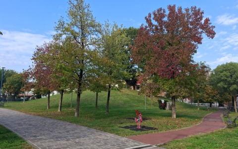 Fuma droga al parco ed è sprovvisto di documenti: denunciato