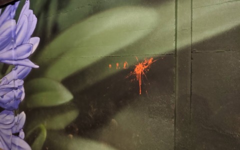 Antegnate, vandalizzato il murale dedicato ai quattro amici scomparsi