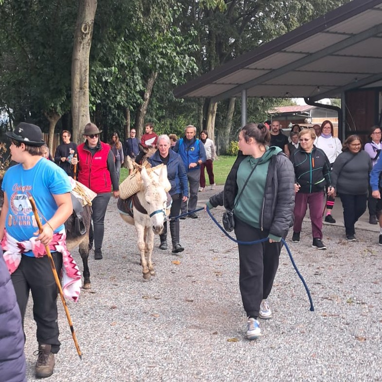 A tetta alta