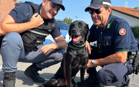 A Treviglio controlli della Polizia nelle scuole: in campo anche Athena, il cane antidroga
