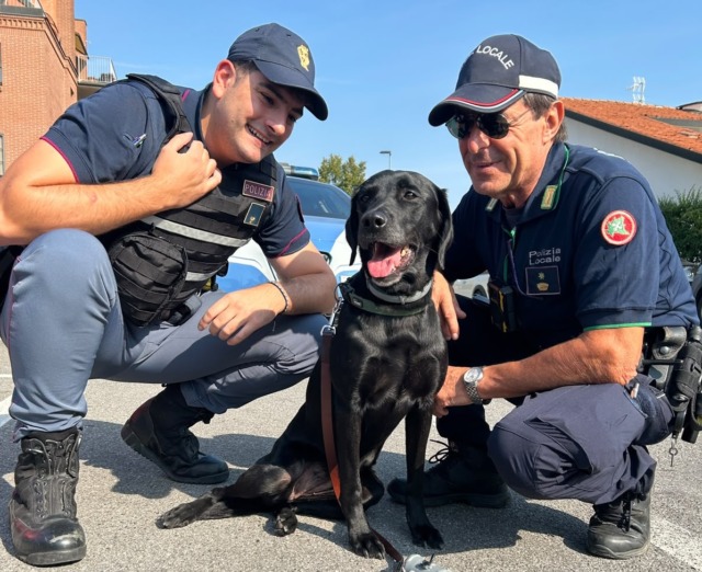 A Treviglio controlli della Polizia nelle scuole: in campo anche Athena, il cane antidroga