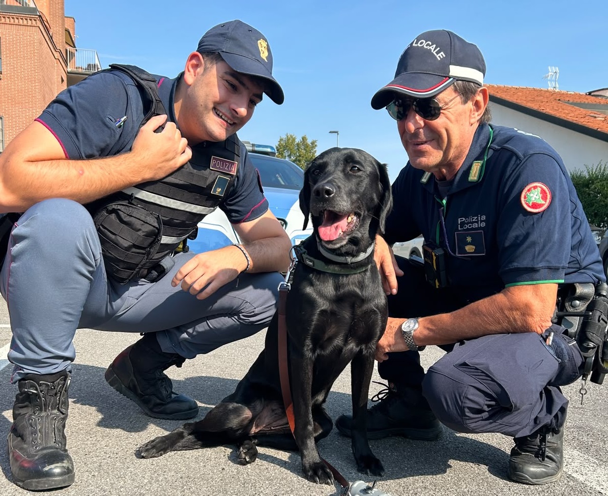 A Treviglio controlli della Polizia nelle scuole: in campo anche Athena, il cane antidroga