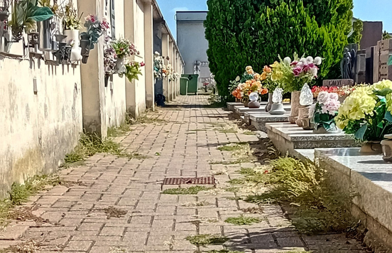 Cimitero comunale, la minoranza: “Serve più manutenzione e decoro”