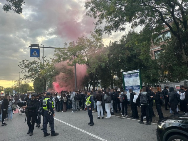 Proteste degli studenti, corteo pacifico a Treviglio (nonostante le avvisaglie)