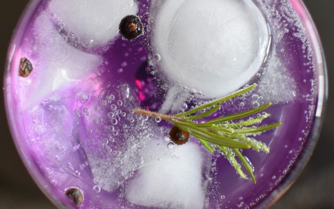 Torna Treviglio In Gin: due serate in Fiera dedicate ai distillati, con lo Zoo di 105