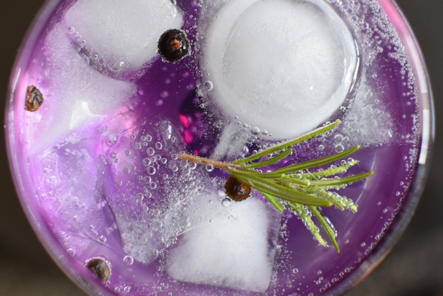 Torna Treviglio In Gin: due serate in Fiera dedicate ai distillati, con lo Zoo di 105