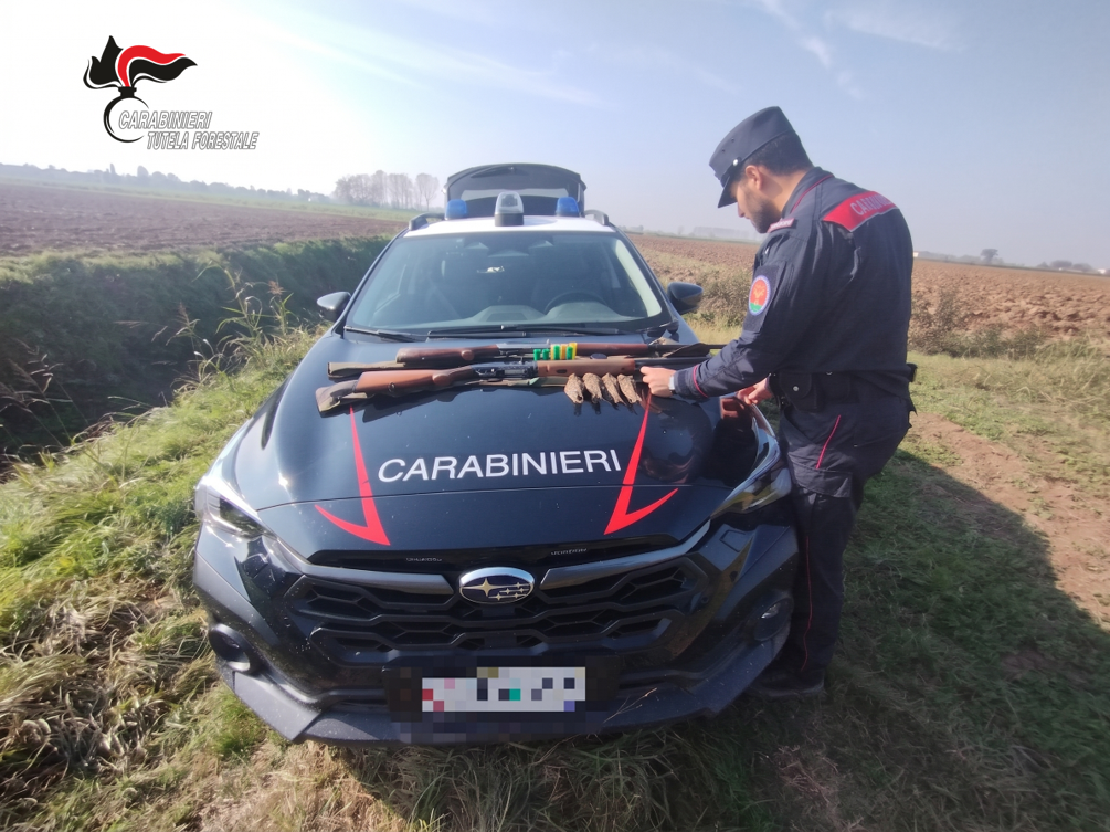 Undicenne sorpreso con il fucile da caccia carico al capanno: nei guai il nonno