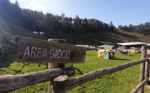 Tra boschi, borghi, sentieri e buon cibo: la vacanza ideale per le famiglie in Alta val Seriana